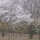 동빙고(근린공원) 이미지