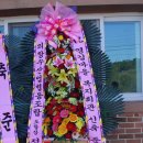 성원애