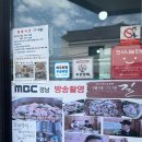 축항 | 경남진주 물회,회덮밥맛집 축항물회횟집 본점 /내돈내산후기