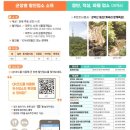 헤이리풀빌라 워라밸 호스텔 이미지