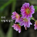 ❤️ 우리 이렇게 살자 ❤️ 이미지