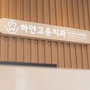 하얀고운치과의원 티스토리