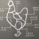 꼬끄더그릴(COQ THE Grill)