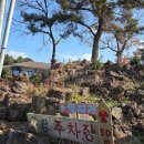 애목장 | [제주 여행] 제주 애월 도치돌 알파카 목장 방문 후기 | 놀면 뭐하니 촬영지 방문기