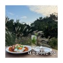 🌿 제주 성산일출봉 근처 감성 술집, 성산엠엠엠 방문기! 🥂✨