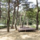 (주)고래실