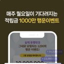 노바피부과의원 이미지