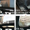 테슬라 글라스루프에 틴팅을 해야할까? (모델S 썬루프/글라스루프 썬팅 제거 후기)