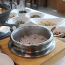 멍뭉이 밥상 이미지