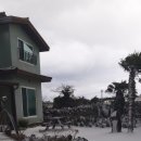 남쪽나라민박 이미지