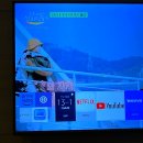 [삼척] 쏠비치 A동 리조트 스위트 스탠다드 오션뷰 숙박 후기