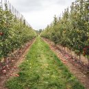 봉오리농장 이미지