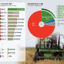 사안농장 이미지