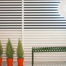 잘생긴 돼지소 이미지