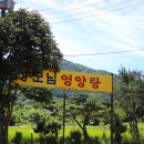 장모님영양탕