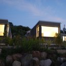 코코앤망고 이미지