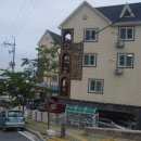 외도펠리스 이미지