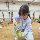 고림초 놀이터 이미지