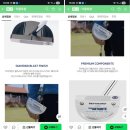 타르디 | 3대 퍼터 : 제로토크 베티나르디 안티도트 SB5 말렛 퍼터 스탠다드 그립 33인치 후기, zero torque putter