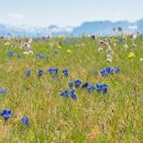 고산이랑 이미지