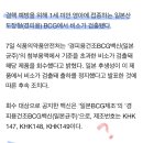 BCG 경피용 백신 비소 검출 논란.. 문제 백신 맞았나 확인방법은? 이미지