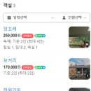 클랭블루수동커플&독채&감성숙소