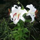 문시중학교 이미지