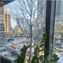 빛고을치과의원 | 치아에 고민일 땐 광주치과 치료를 잘 하는 곳!