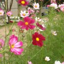 안동민속박물관 이미지