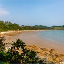 해송 Daum카페
