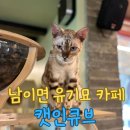 캣인큐브