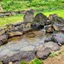 학마을농장 이미지