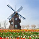 푸른정원 이미지