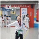 푸른태권도 이미지