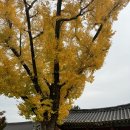 하곡 경로당 네이버블로그