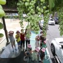 중흥2동 행정복지센터 앞 이미지