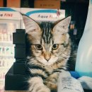 3층의 피씨방 이미지