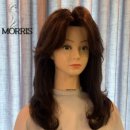 모리스 이미지