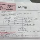 마이호니