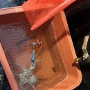 소로3-111 | 경북 영일만항 선상낚시, 문어낚시와 포항 2박 3일 여행기