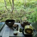 서광농장 | 제주 서귀포 오설록 티뮤지엄, 제주 서쪽 여행 추천, 오설록녹차시음, 오설록 제주 메뉴판 가격