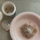 펫트러스트 | [내돈내산] 고양이 유산균 추천 | 리와일드 포 필라인