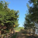 신호솔밭공원 이미지