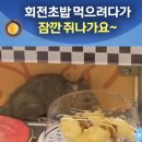자유초밥