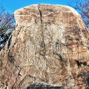 서상동141 | 옛 금관가야 궁터에서 발견된 탄화미, 경상남도 김해시