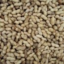 뜨락농장 이미지