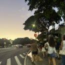 스윗애즈(sweet as) | [하와이 신혼여행] 알라모아나쇼핑센터 무스비카페, 스윗애즈아이스크림