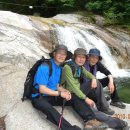 초록화원 이미지