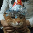 앵두목장 이미지