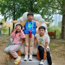 하이얀목장 이미지